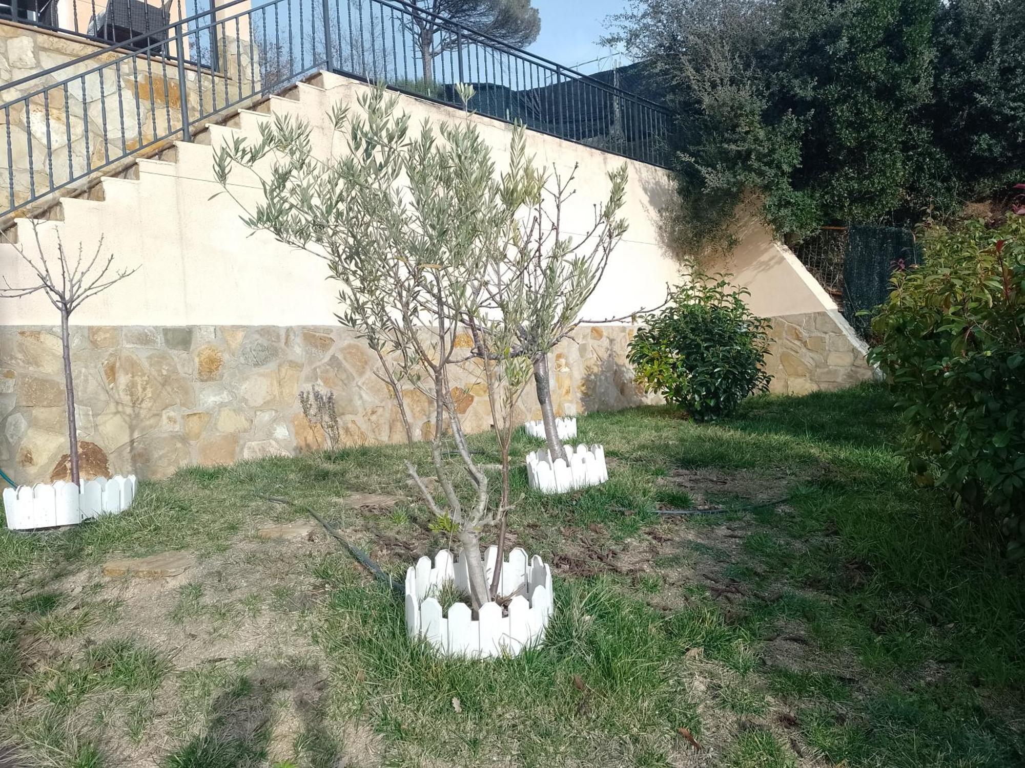 Apartment Gran Estudio De 50m2 Cerca Costa Brava *